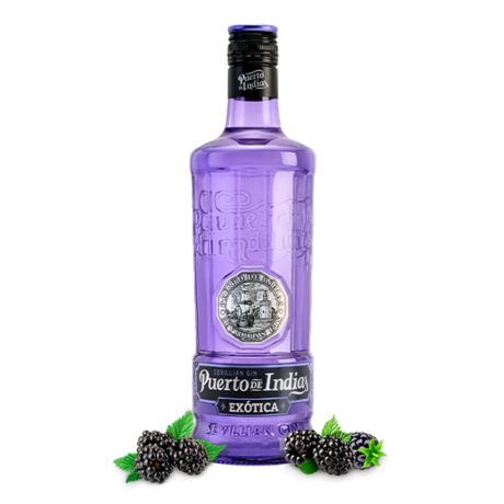 GINEBRA PUERTO DE INDIAS BLACKBERRY 6/750ml