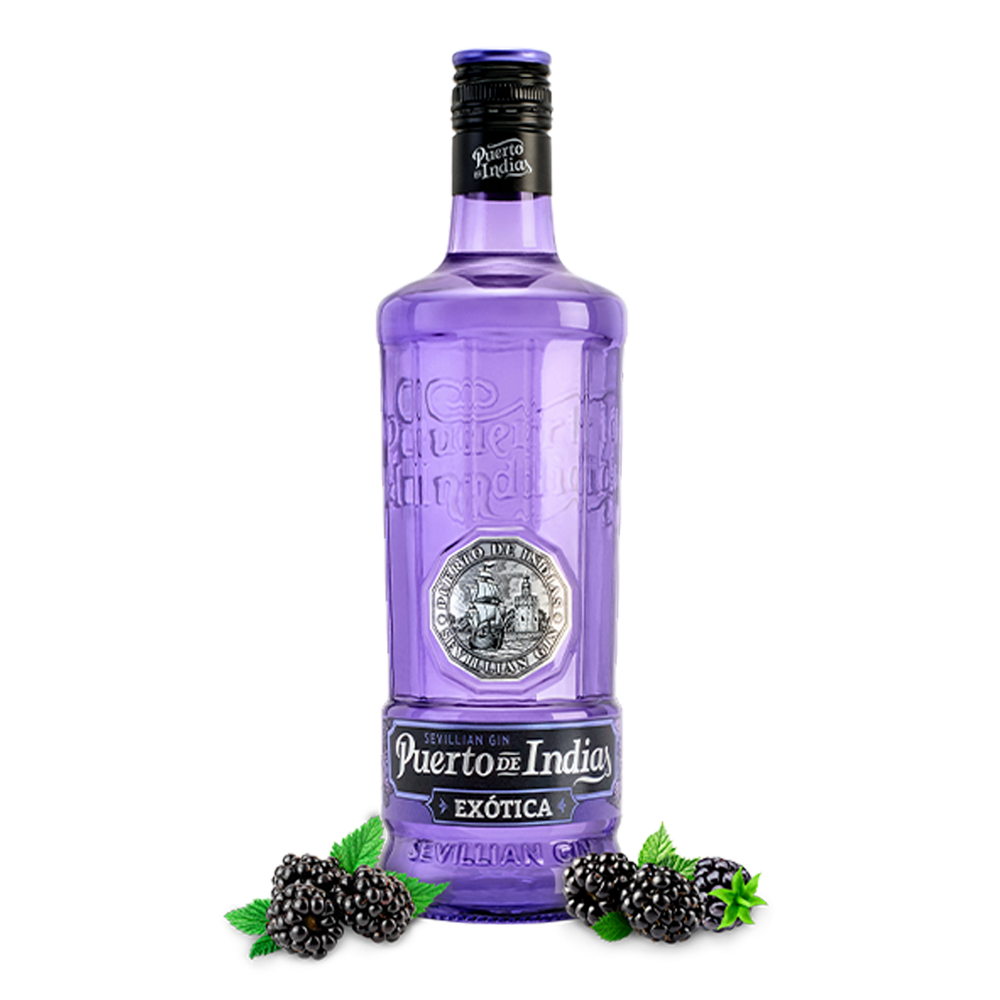 GINEBRA PUERTO DE INDIAS BLACKBERRY 6/750ml